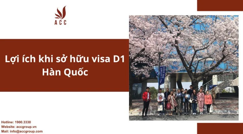 Lợi ích khi sở hữu visa D1 Hàn Quốc