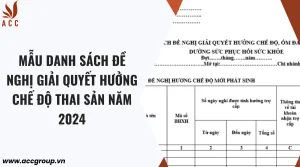 mau-danh-sach-de-nghi-giai-quyet-huong-che-do-thai-san-nam-2024