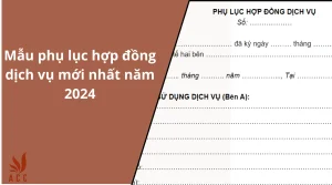 mau-phu-luc-hop-dong-dich-vu-moi-nhat-nam-2024
