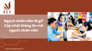 ngach-nhan-vien-la-gi-cap-nhat-thong-tin-ma-ngach-nhan-vien