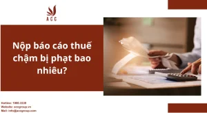 nop-bao-cao-thue-cham-bi-phat-bao-nhieu