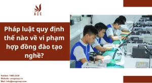 phap-luat-quy-dinh-the-nao-ve-vi-pham-hop-dong-dao-tao-nghe