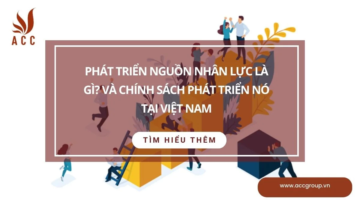 Phát triển nguồn nhân lực là gì? Và chính sách phát triển nó tại Việt Nam