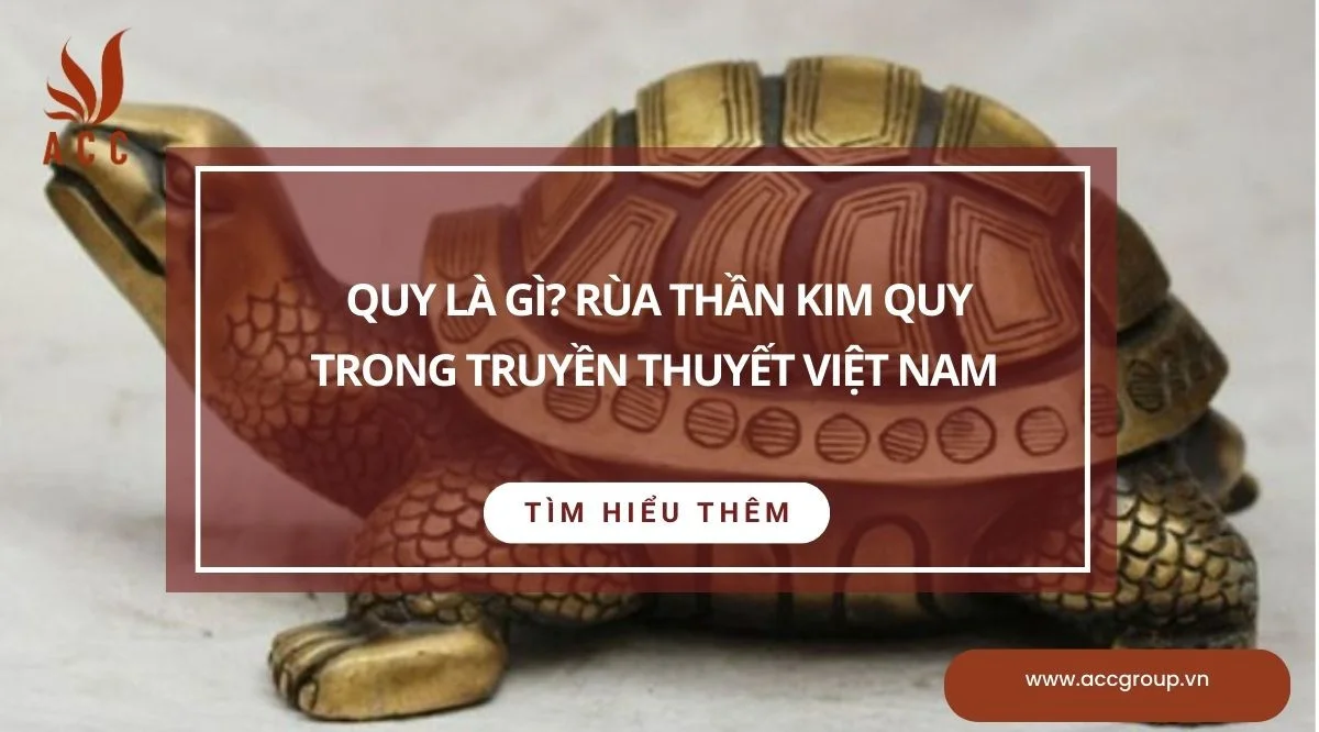 Quy là gì? Rùa thần Kim Quy trong truyền thuyết Việt Nam