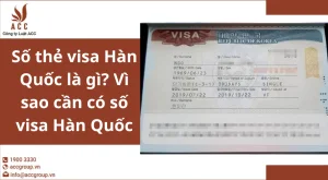 so-the-visa-han-quoc-la-gi-vi-sao-can-co-so-visa-han-quoc