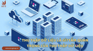 thu-thap-du-lieu-la-gitam-quan-trong-cua-thu-thap-du-lieu