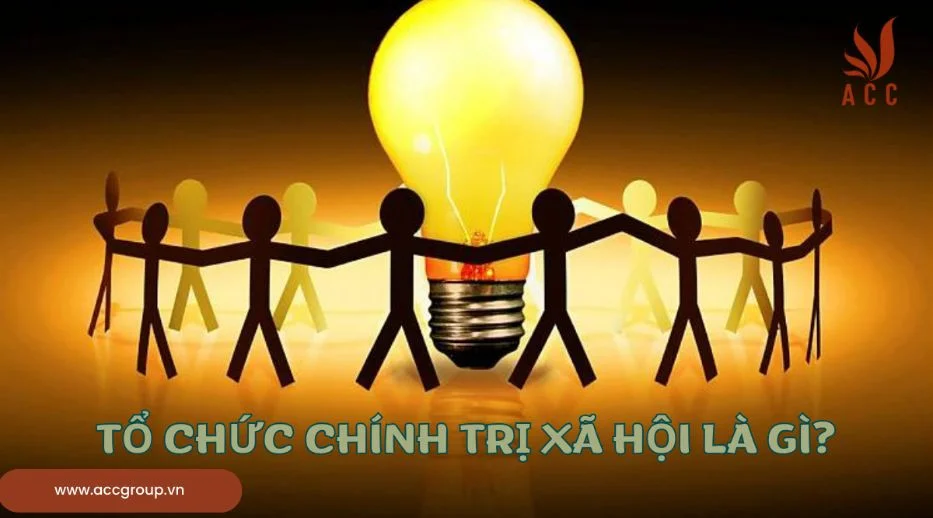 Tổ chức chính trị xã hội là gì?