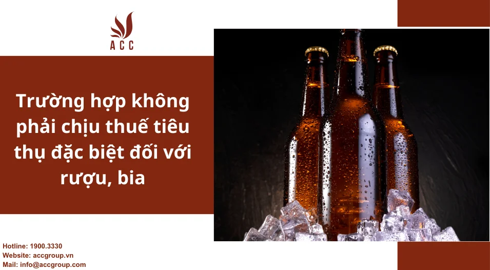Trường hợp không phải chịu thuế tiêu thụ đặc biệt đối với rượu, bia