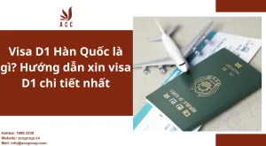 visa-d1-han-quoc-la-gi-huong-dan-xin-visa-d1-chi-tiet-nhat