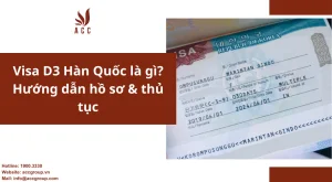 visa-d3-han-quoc-la-gi-huong-dan-ho-so-thu-tuc