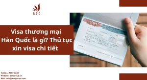 visa-thuong-mai-han-quoc-la-gi-thu-tuc-xin-visa-chi-tiet-1