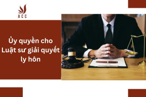 co-duoc-uy-quyen-cho-luat-su-giai-quyet-ly-hon-khong