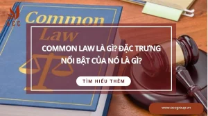 common-law-la-gi-dac-trung-noi-bat-cua-no-la-gi