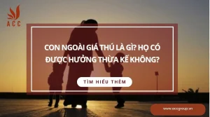 con-ngoai-gia-thu-la-gi-ho-co-duoc-huong-thua-ke-khong