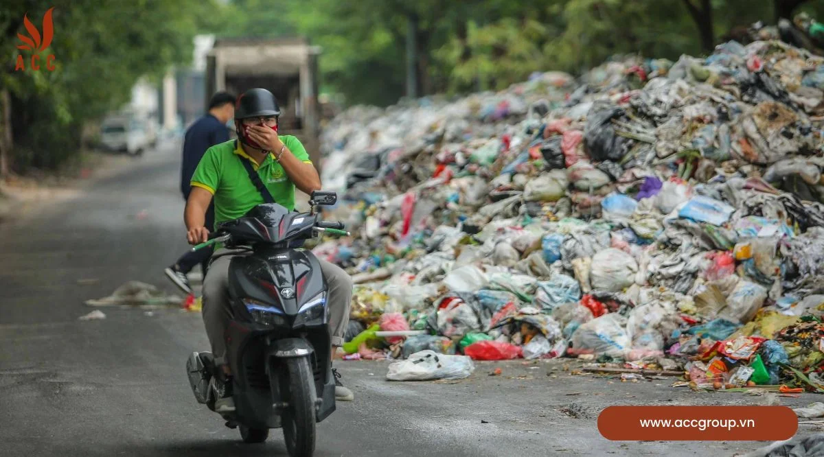 Hậu quả của rác thải đối với xã hội