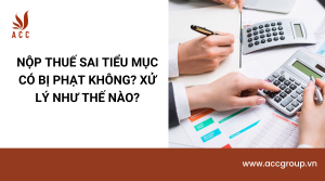 nop-thue-sai-tieu-muc-co-bi-phat-khong-xu-ly-nhu-the-nao