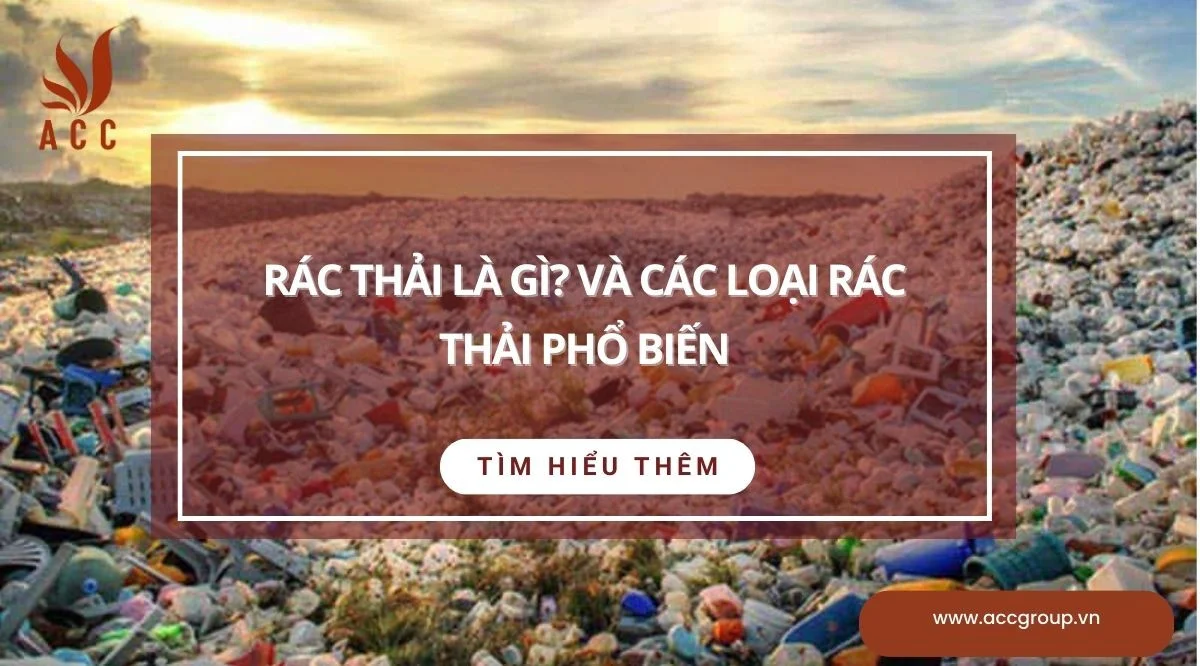 Rác thải là gì? Và các loại rác thải phổ biến