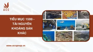 tieu-muc-1599-la-gi