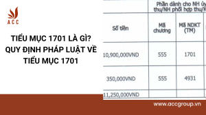 tieu-muc-1701-la-gi-quy-dinh-phap-luat-ve-tieu-muc-1701