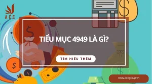 tieu-muc-4949-la-gi