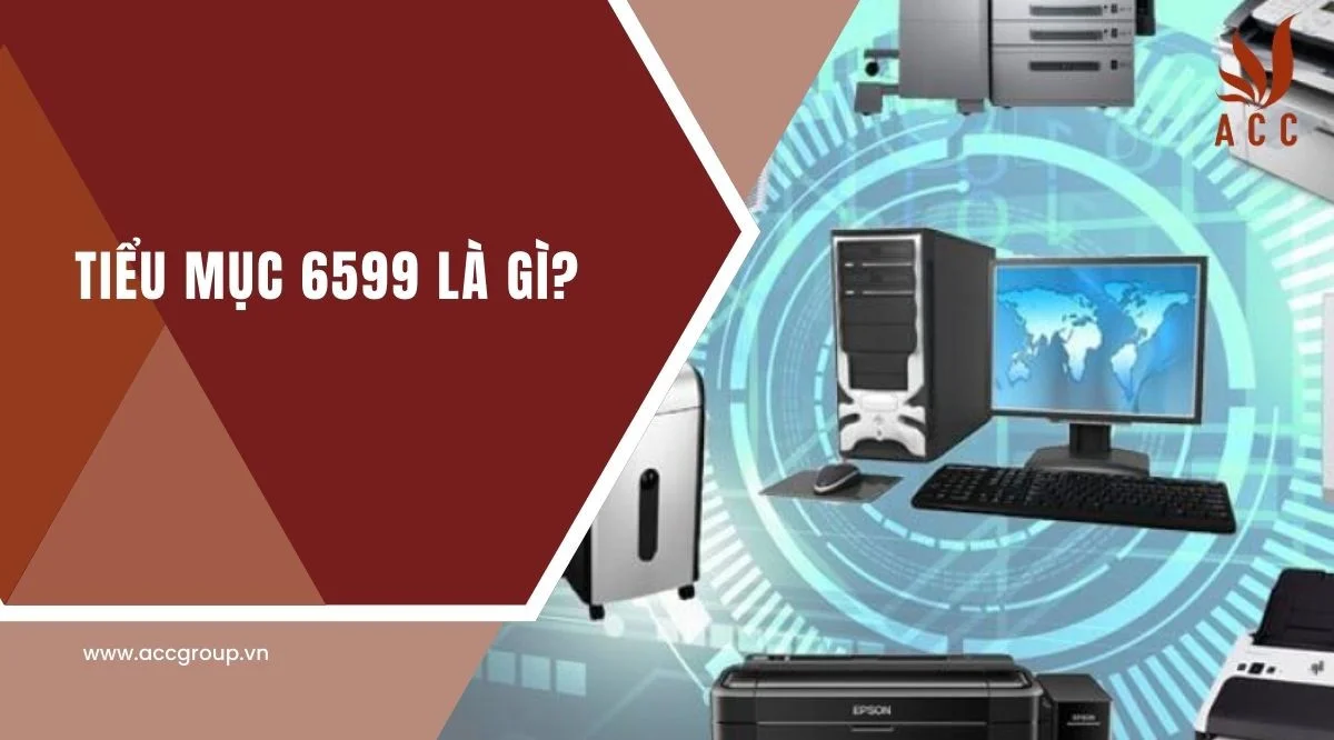 Tiểu mục 6599 là gì?