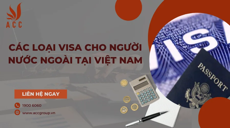 cac-loai-visa-cho-nguoi-nuoc-ngoai-tai-viet-nam