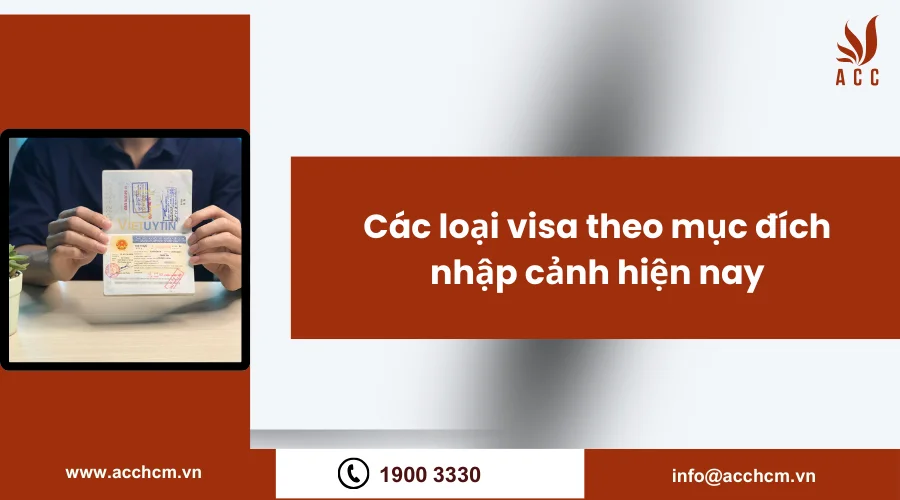 cac-loai-visa-theo-muc-dich-nhap-canh-hien-nay