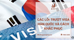 cac-loi-truot-visa