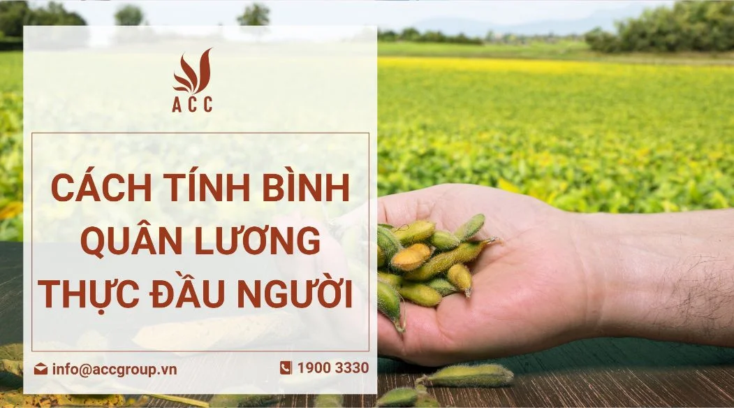 cach-tinh-binh-quan-luong-thuc-dau-nguoi