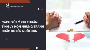 cach-xu-ly-khi-thuan-tinh-ly-hon-nhung-tranh-chap-quyen-nuoi-con-1