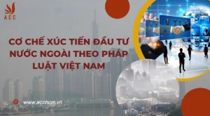 co-che-xuc-tien-dau-tu-nuoc-ngoai-theo-phap-luat-viet-nam