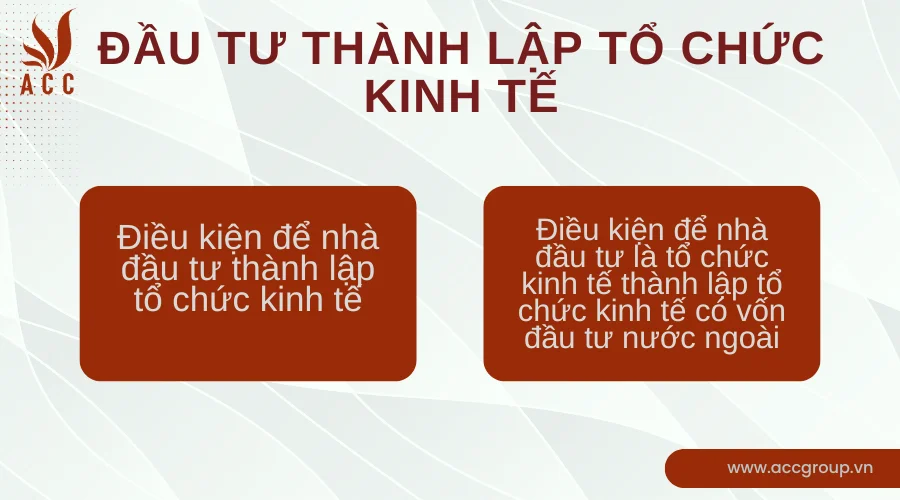 Đầu tư thành lập tổ chức kinh tế