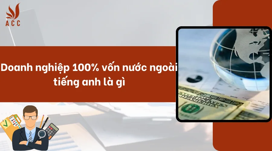 Doanh nghiệp 100% vốn nước ngoài tiếng anh là gì