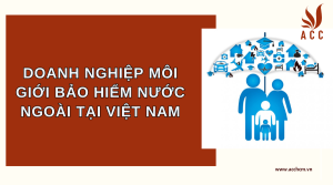 doanh-nghiep-moi-gioi-bao-hiem-nuoc-ngoai-tai-viet-nam