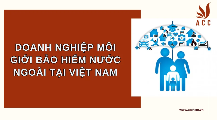 Doanh Nghiệp Môi Giới Bảo Hiểm Nước Ngoài Tại Việt Nam