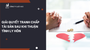 giai-quyet-tranh-chap-tai-san-sau-khi-thuan-tinh-ly-hon