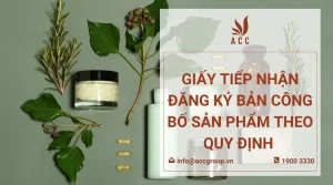 giay-tiep-nhan-dang-ky-ban-cong-bo-san-pham-theo-quy-dinh