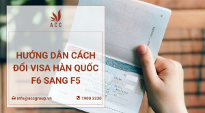 huong-dan-cach-doi-visa-f6-sang-f5