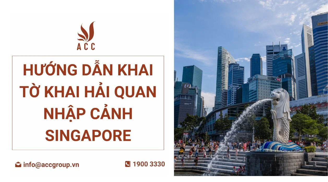 huong-dan-khai-to-khai-hai-quan-nhap-canh-singapore