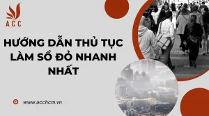 huong-dan-thu-tuc-lam-so-do-nhanh-nhat