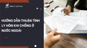 huong-dan-thuan-tinh-ly-hon-khi-chong-o-nuoc-ngoai-1