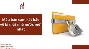 mau-ban-cam-ket-bao-ve-bi-mat-nha-nuoc-moi-nhat