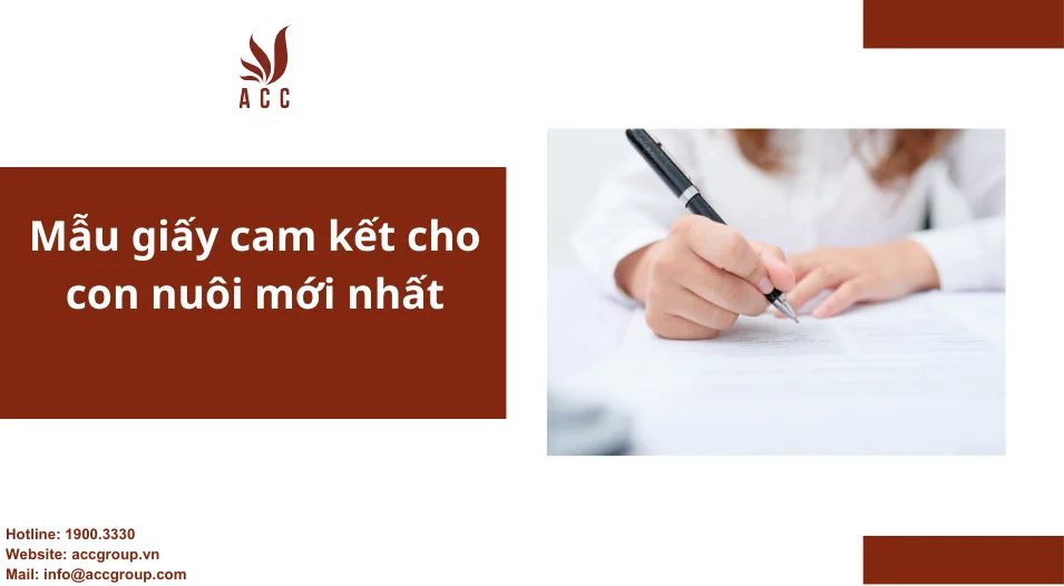 Mẫu giấy cam kết cho con nuôi mới nhất