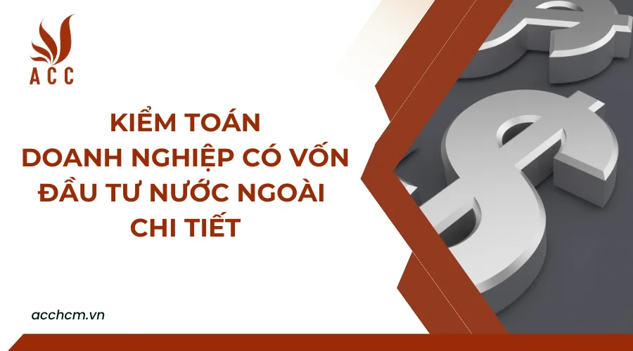 kiem-toan-doanh-nghiep-co-von-dau-tu-nuoc-ngoai-chi-tiet.png