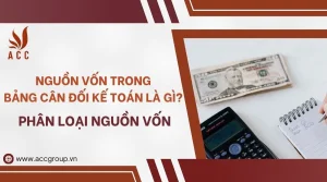 nguon-von-trong-bang-can-doi-ke-toan-la-gi-phan-loai-nguon-von