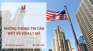 nhung-thong-tin-can-biet-ve-visa-l1-my