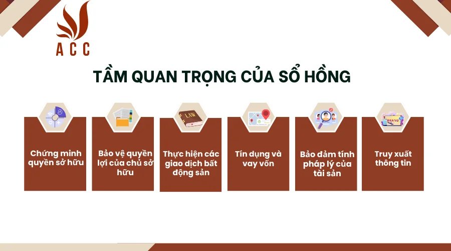 tam-quan-trong-cua-so-hong