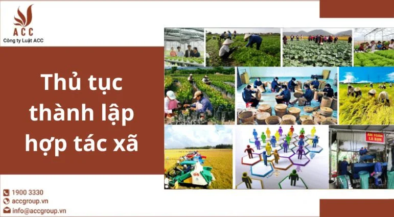 Thủ tục thành lập hợp tác xã