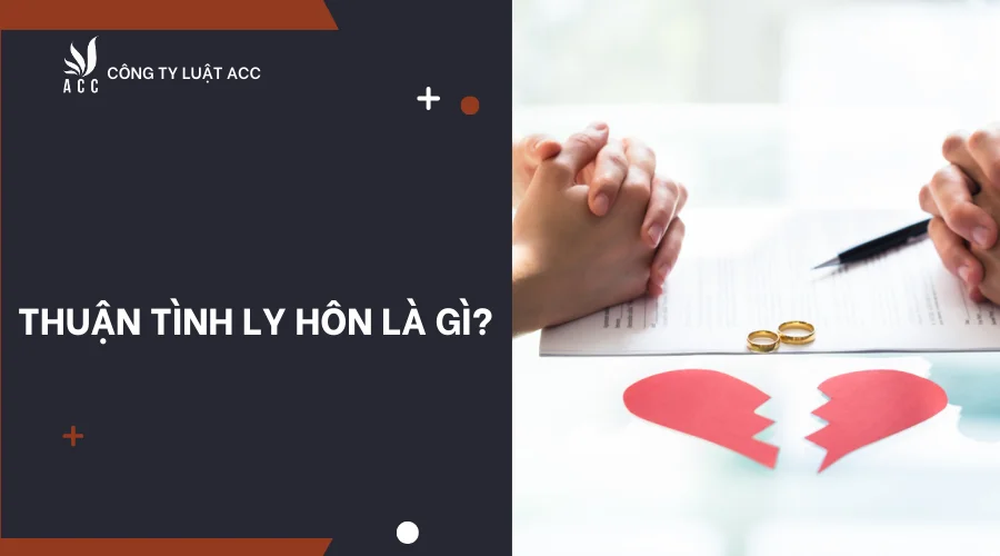 thuan-tinh-ly-hon-la-gi