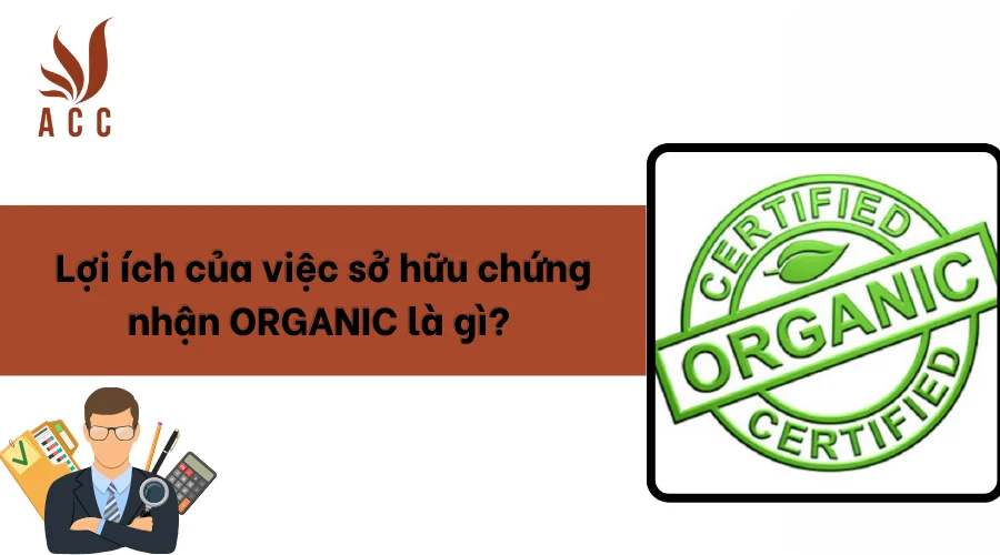 Lợi ích của việc sở hữu chứng nhận ORGANIC là gì? 